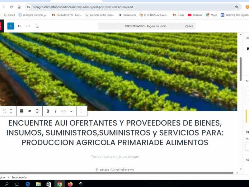 Room with a sea view